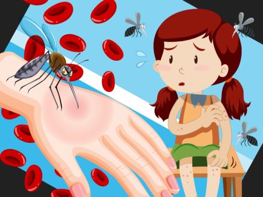 List of Mosquito-Borne Diseases