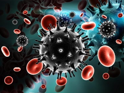 hiv and infections inside the human body