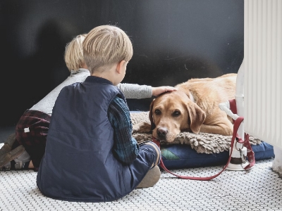two children petting a dog on a light room